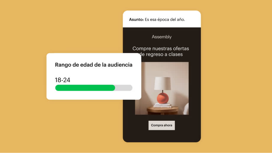 Ejemplo de interfaz de usuario de Mailchimp con un correo electrónico de muestra y el rango de edad del público objetivo.