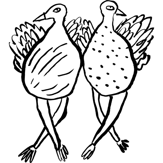 Illustration of two turkeys