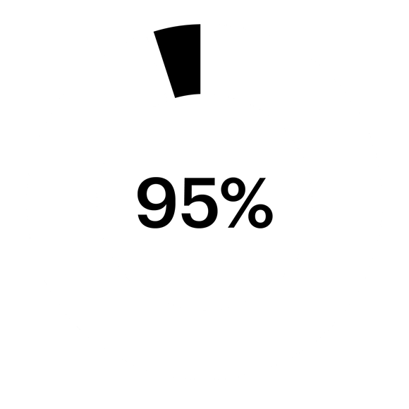 95% image