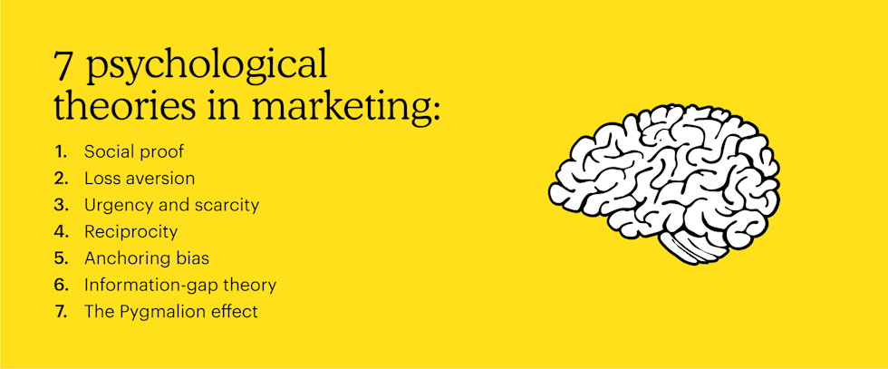 Graphic with a illustrated brain next to the headline "7 psychological theories in marketing"