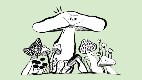 Mushrooms growing.