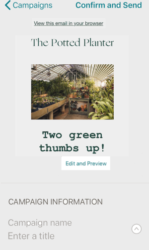 mobile-campaign-details-with-edit-and-preview-button-new builder
